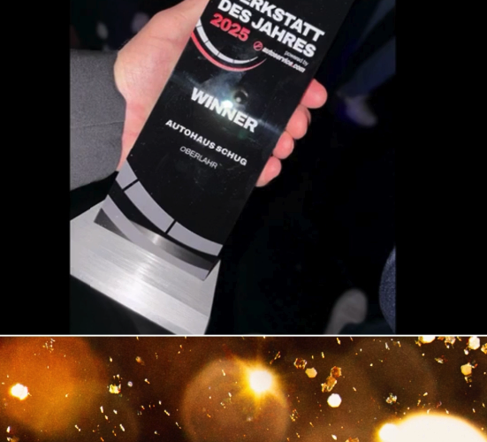 Werkstatt des Jahres 2025